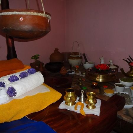 New Ideal Panchakarma Centre Kovalam Exteriör bild